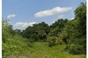  Jabara LN, Labelle, FL 33935 - MLS#224062836