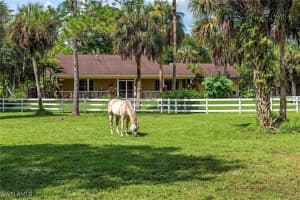 525 5th Street, NAPLES, FL 34120 Sold 01/31/25