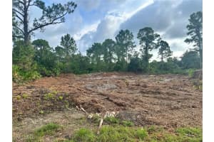 1063 Binkley Street, Lehigh Acres, FL 33974 - MLS#224065333