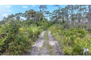 1275 Pine Avenue, LABELLE, FL 33935 Sold 10/18/24