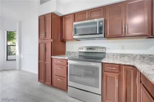 13185 Brookshire Lake Boulevard, FORT MYERS, FL 33966 Sold 01/14/25