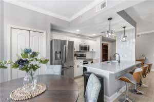 19760 Osprey Cove Boulevard, Estero, FL 33967 Sold 12/06/24
