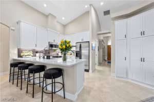 11191 Palmetto Ridge Drive, Naples, FL 34110 Sold 12/04/24