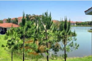 26651 Rosewood Pointe Circle, Bonita Springs, FL 34135 Sold 03/27/25