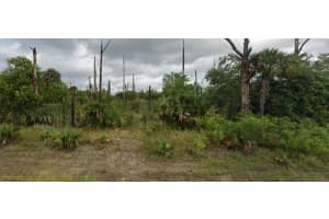 3406 30th Street, Lehigh Acres, FL 33971 Sold 12/02/25