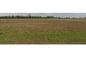 12464 Tripletail Drive, Placida, FL 33946 Sold 02/27/25