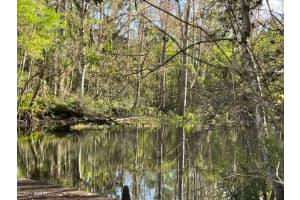  Secretariat DR, Labelle, FL 33935 Sold 03/06/25