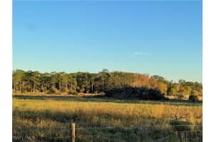  Secretariat DR, Labelle, FL 33935 Sold 03/06/25