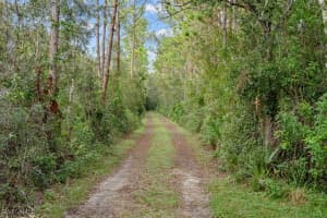 39200 Cook Brown Road, Punta Gorda, FL 33982 - MLS#224077169