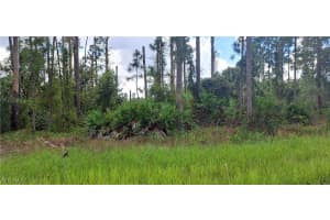 3800 13th Street, Lehigh Acres, FL 33972 - MLS#224077987