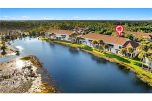 25010 Cypress Hollow Court, BONITA SPRINGS, FL 34134 Sold 03/28/25