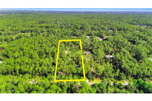 4971 Sycamore Drive, Naples, FL 34119 Sold 03/04/25