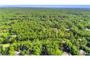 4971 Sycamore Drive, Naples, FL 34119 Sold 03/04/25