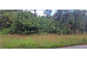 3806 13th Street, Lehigh Acres, FL 33972 - MLS#224079843