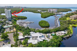 420 Cove Tower Drive, Naples, FL 34110 Sold 02/27/25