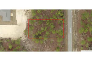 1816-602-010 Sycamore Road, Dunnellon, FL 34431 Sold 11/19/24