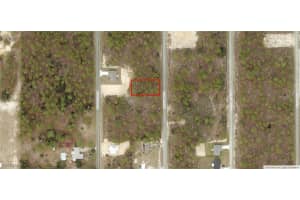 1816-602-010 Sycamore Road, Dunnellon, FL 34431 Sold 11/19/24
