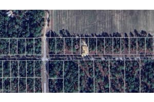 1814-024-004 Falcon Avenue, Dunnellon, FL 34431 Sold 02/24/25