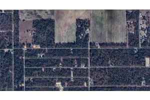 1814-024-004 Falcon Avenue, Dunnellon, FL 34431 Sold 02/24/25