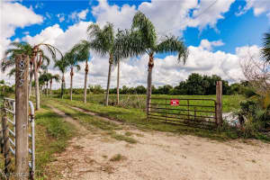 875 Limpkin Road, Naples, FL 34120 - MLS#224082034