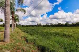 875 Limpkin Road, Naples, FL 34120 - MLS#224082034