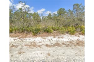 3049 Cedar Hill Avenue, Lake Placid, FL 33852 - MLS#224082292