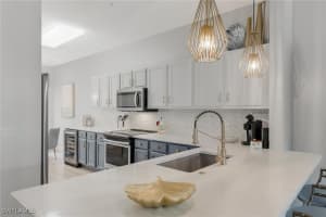 11041 Corsia Trieste Way, Bonita Springs, FL 34135 Sold 12/16/24