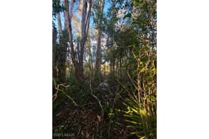 3402 39th Street, Lehigh Acres, FL 33976 - MLS#224086362