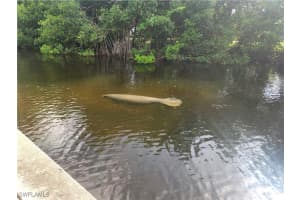 15331 Allen Way, Fort Myers, FL 33908 Sold 12/20/24
