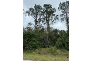 904 Sheldon Avenue, Lehigh Acres, FL 33936 - MLS#224086916