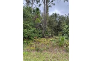 904 Sheldon Avenue, Lehigh Acres, FL 33936 - MLS#224086916