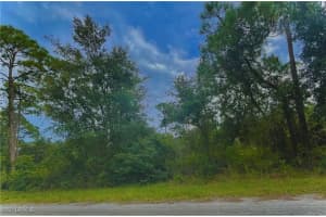 3262 Glen Springs Avenue, Lake Placid, FL 33852 Sold 12/09/24