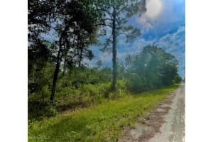 3262 Glen Springs Avenue, Lake Placid, FL 33852 Sold 12/09/24