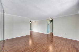 729 Palm View Drive, Naples, FL 34110 Sold 02/26/25