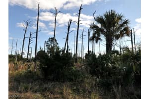  Boskoop RD, North Port, FL 34288 - MLS#224090233