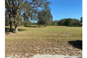 2721 Petaluma Road, Avon Park, FL 33825 Sold 01/14/25