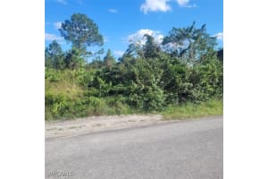 1020 Greenwood Avenue, Lehigh Acres, FL 33972 - MLS#224091213