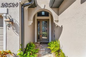 28524 San Amaro Drive, Bonita Springs, FL 34135 Sold 12/23/24