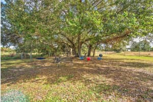 1716 Columbus Avenue, Lehigh Acres, FL 33972 Sold 01/17/25