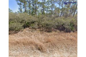 815 Hollywood Street, Lake Placid, FL 33852 Sold 02/21/25