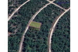 815 Hollywood Street, Lake Placid, FL 33852 Sold 02/21/25