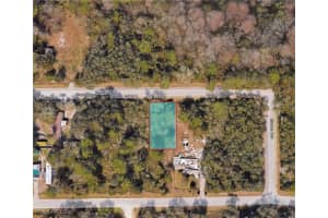 12970 glades Avenue, New Port Richey, FL 34654 Sold 12/13/24