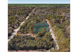 12970 glades Avenue, New Port Richey, FL 34654 Sold 12/13/24