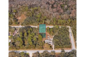 12970 glades Avenue, New Port Richey, FL 34654 Sold 12/13/24