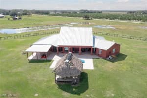 42 Clubhouse Rd, Venus