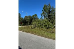 2501 9th Street, Lehigh Acres, FL 33936 - MLS#224096031
