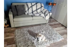 MLS# 224096415, Fort Myers, Florida 33916