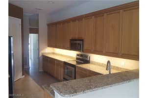 1113 Amber Lake Court, Cape Coral, FL 33909 Sold 04/25/25