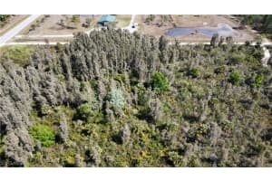 49653 Bermont Road, Punta Gorda, FL 33982 Sold 04/25/25