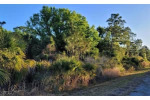1 Burdekin St Street, North Port, FL 34288 - MLS#224100620